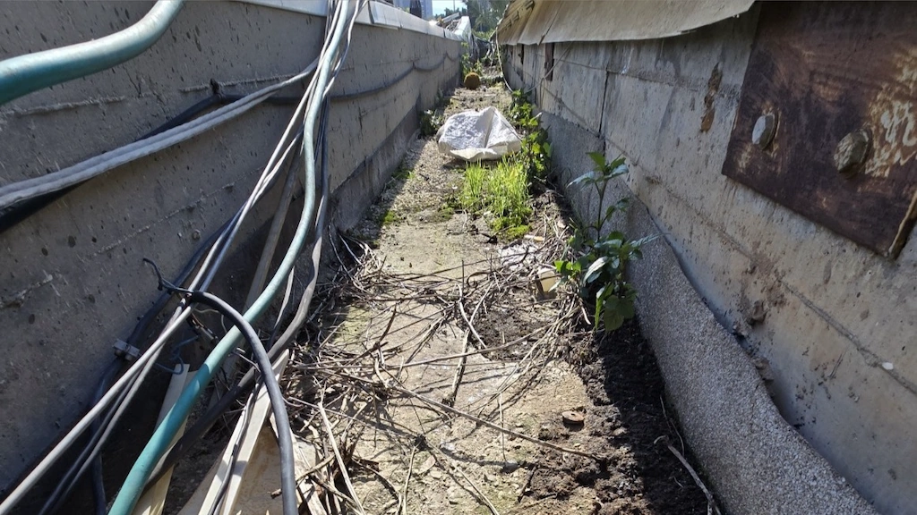 ייעוץ איטום